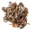 Garnelen Garnelen – Natürlicher Hundesnack aus 100% Garnelen
