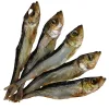 Hering – Natürlicher Hundekauartikel aus 100% Fisch