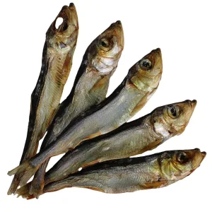 Hering – Natürlicher Hundekauartikel aus 100% Fisch