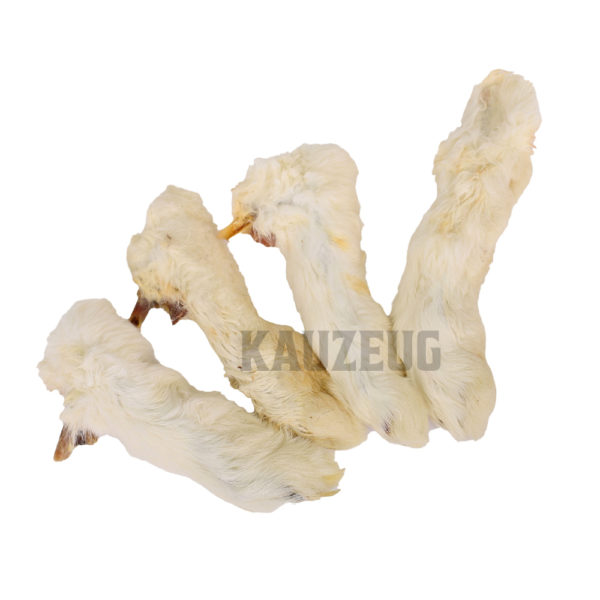 Kaninchenpfote Kaninchenpfoten mit Fell – Natürlicher Hundekauartikel aus 100% Kaninchen