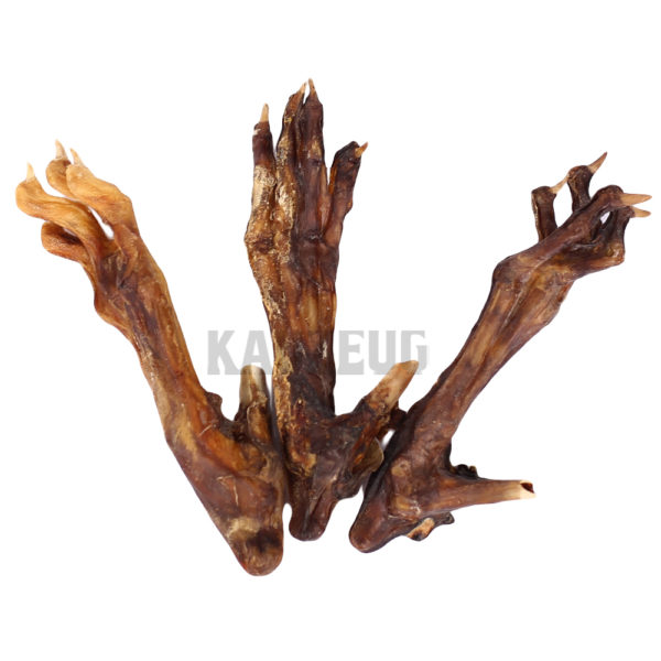 Kaninchenpfote ohne Fell Kaninchenpfoten ohne Fell – Natürlicher Hundekauartikel aus 100% Kaninchen