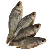 Karausche Karausche – Natürlicher Hundekauartikel aus 100 % Fisch