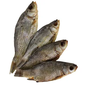 Karausche – Natürlicher Hundekauartikel aus 100 % Fisch