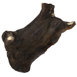 Pferdehautplatte Pferdehaut Platten – Natürlicher Kauartikel aus 100 % Pferd