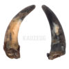 Rinderhörner Rinderhörner – Natürlicher, extra harter Hundekauartikel