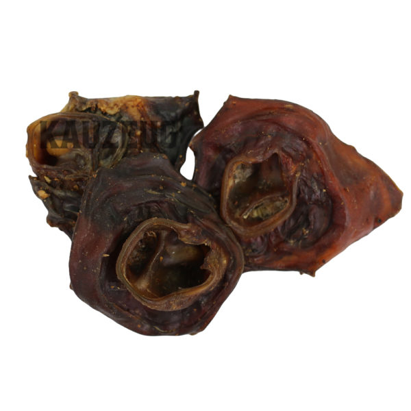 Rinderohrmuschel Rinderohrmuscheln – Natürlicher Hundekauartikel aus 100% Rind