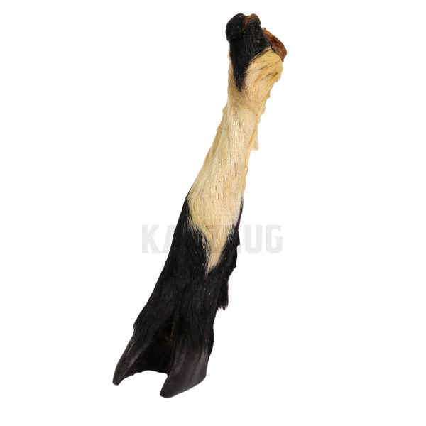 Ziegenfuß mit Fell-2 Ziegenfuß mit Fell – Artgerechter Hundekauartikel für natürlichen Kauspaß