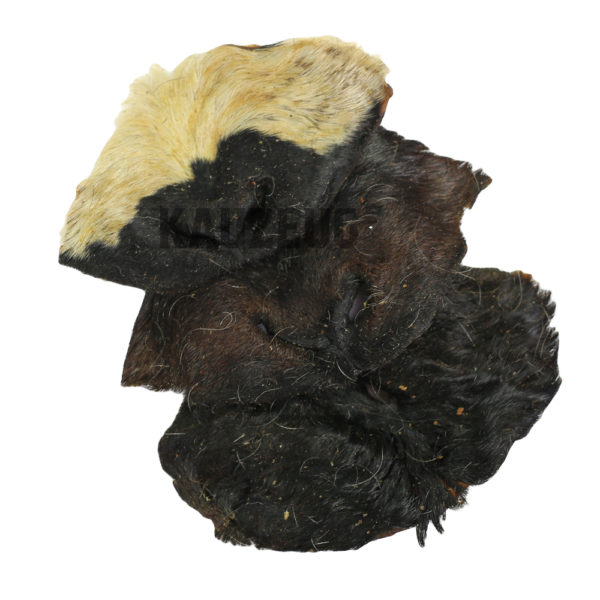 Ziegennase mit fell Ziegennase mit Fell – Natürlicher Hundekauartikel für artgerechten Snackgenuss