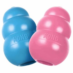 KONG Puppy M – Welpenspielzeug aus weichem Naturkautschuk