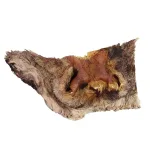 Rindernasen mit Fell – Natürlicher Kausnack für Hunde
