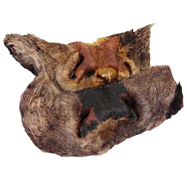 Rindernasen mit Fell – Natürlicher Kausnack für Hunde