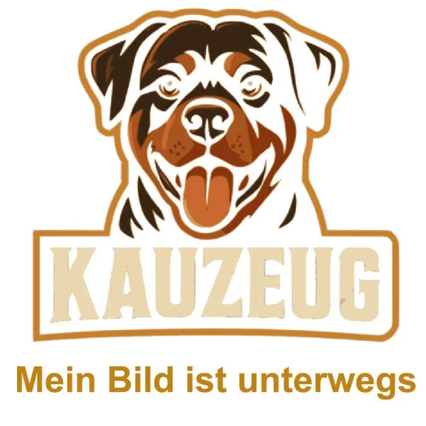 Bild ist unterwegs Büffel-Dörrfleisch – Proteinreicher Hundekauartikel