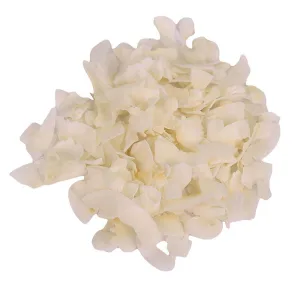 Kokoschips Cocos Chips – Natürlicher Hundekauartikel mit Kokos