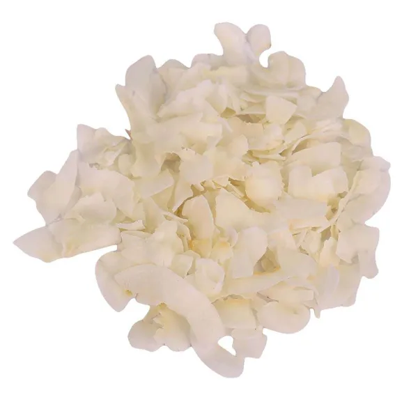 Kokoschips Cocos Chips – Natürlicher Hundekauartikel mit Kokos