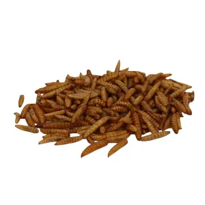 Hermetia Larven – Natürlicher Hundesnack mit Insektenprotein