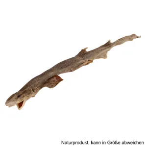 Katzenhai – Natürlicher Fisch-Hundekauartikel