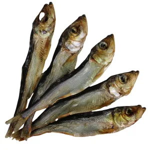 Hering – Natürlicher Hundekauartikel aus 100% Fisch