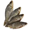 Karausche Karausche – Natürlicher Hundekauartikel aus 100 % Fisch