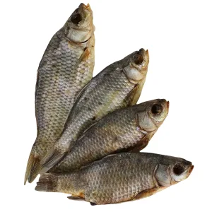 Karausche – Natürlicher Hundekauartikel aus 100 % Fisch